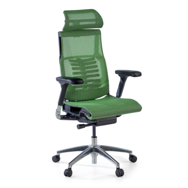sedia ergonomica verde struttura nera rete transpirante braccioli regolabili 5d supporto lombare poggiatesta 1