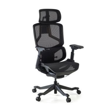 Sedia da ufficio ergonomica AeroMax con doppio supporto lombare