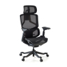 Sedia da ufficio ergonomica AeroMax con doppio supporto lombare