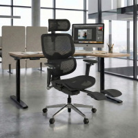 Sedia da ufficio ergonomica Erghos X2, supporto lombare flessibile