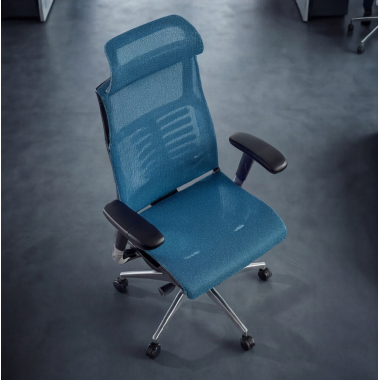 Ergonomica