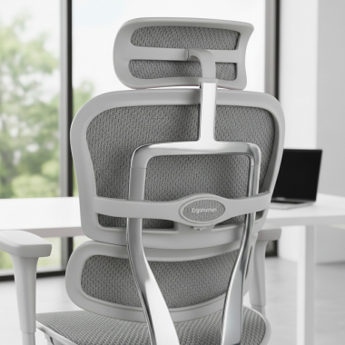 Ergonomia