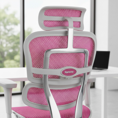 Ergonomia
