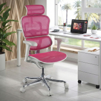Sedia direzionale ergonomica Ergohuman Edition I, Struttura bianca