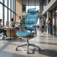 Sedia direzionale ergonomica Ergohuman Elite, Struttura bianca