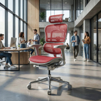 Sedia direzionale ergonomica Ergohuman Elite, Struttura bianca