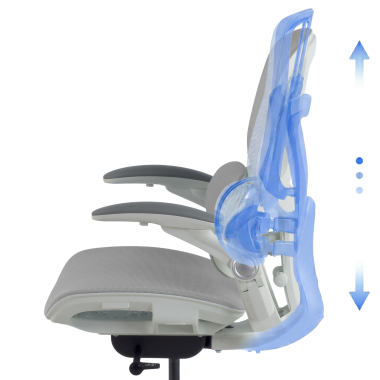 Design Ergonomico