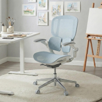 Sedia ergonomica Erghos One, ortopedica, doppio supporto lombare