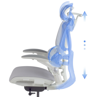 Design Ergonomico