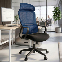 Sedia da Ufficio Ergonomica Nebula, cuscino lombare