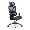 Sedia da ufficio ergonomica Velstrom con supporto lombare e braccioli 3D
