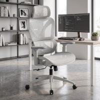 Sedia da ufficio ergonomica...
