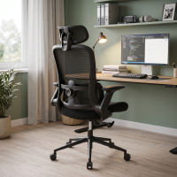 Sedia da ufficio ergonomica Dexter con supporto lombare e braccioli ribaltabili
