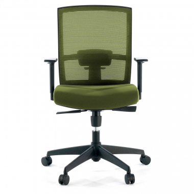 sedia ergonomica verde struttura nera rete transpirante braccioli regolabili 1d supporto lombare 4