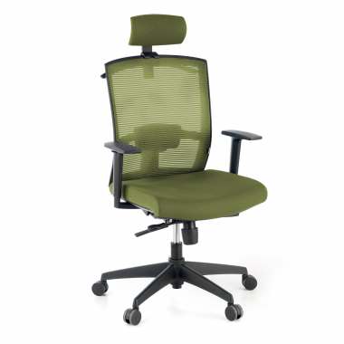 sedia ergonomica verde struttura nera poggiatesta rete transpirante braccioli regolabili 1d supporto lombare poggiatesta 1