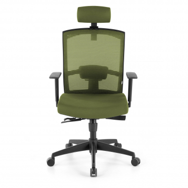 sedia ergonomica verde struttura nera poggiatesta rete transpirante braccioli regolabili 1d supporto lombare poggiatesta 4