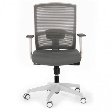 sedia ergonomica bianco grigio struttura bianca rete transpirante braccioli regolabili 1d supporto lombare 4