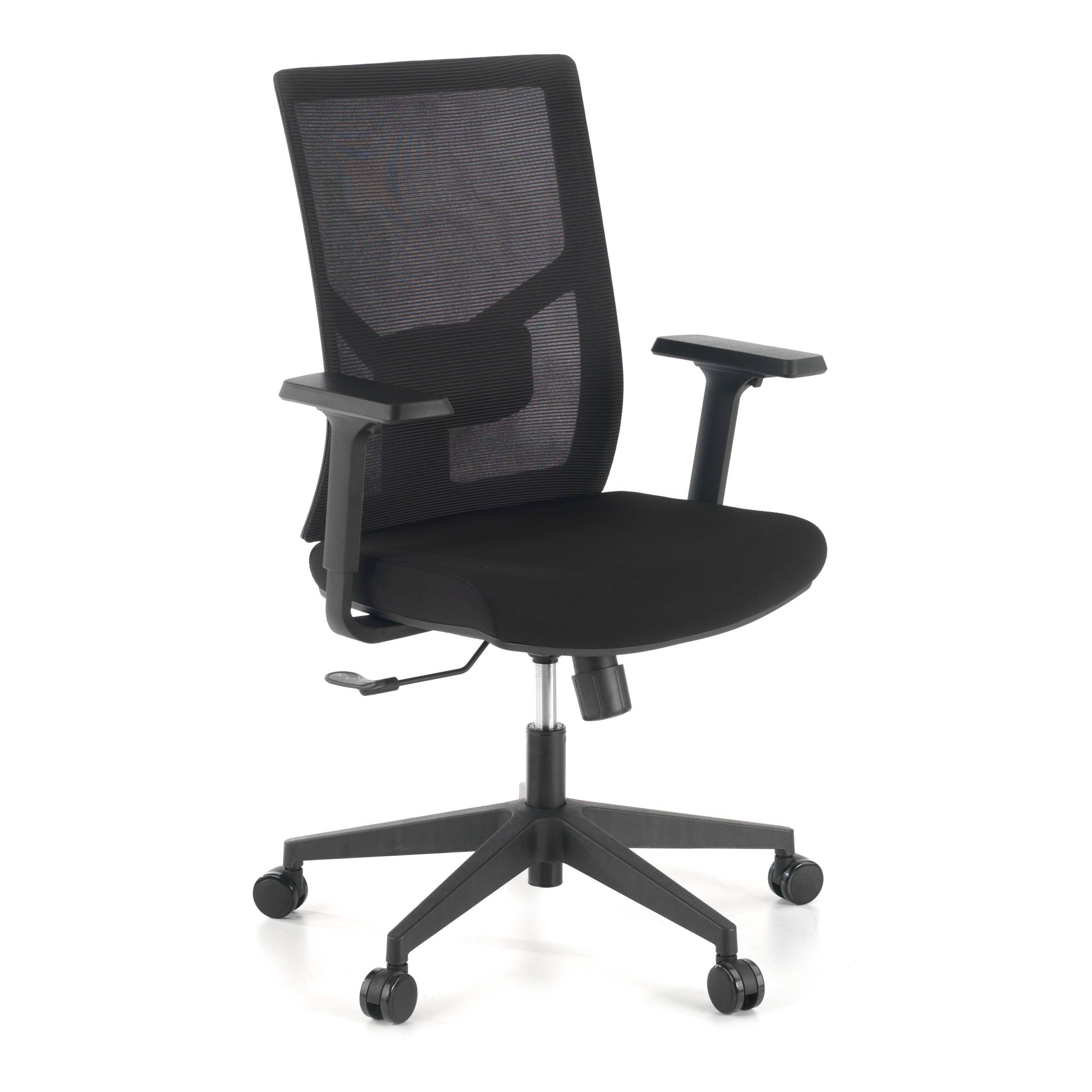 Sedia Ufficio Ergonomica Verdi, braccioli regolabili, supporto lombare,