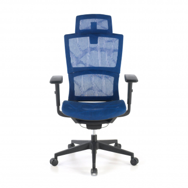 Ergonomica