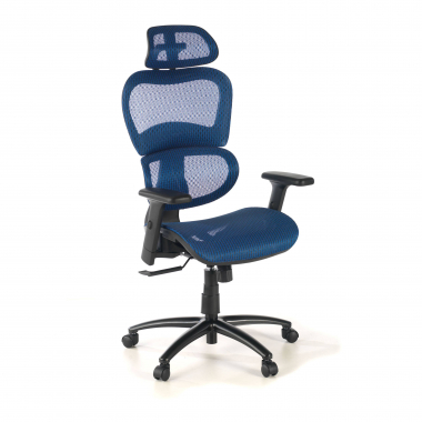 sedia ergonomica blu struttura nera rete transpirante braccioli regolabili 3d doppio supporto lombare poggiatesta 1
