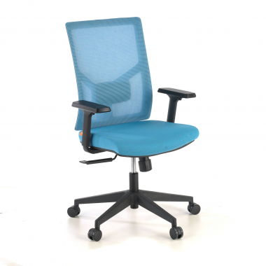 sedia ergonomica blu struttura nera poggiatesta rete transpirante braccioli regolabili 1d supporto lombare 1