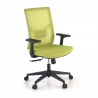 Sedia Ufficio Ergonomica Verdi, braccioli regolabili, supporto lombare,