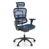 Sedia da Gaming Professionale Ergohuman, 100% regolabile