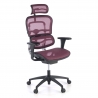 Sedia da Gaming Professionale Ergohuman, 100% regolabile