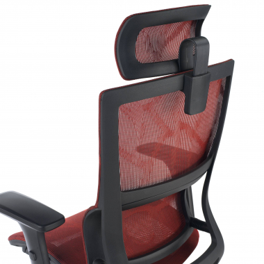 Ergonomica