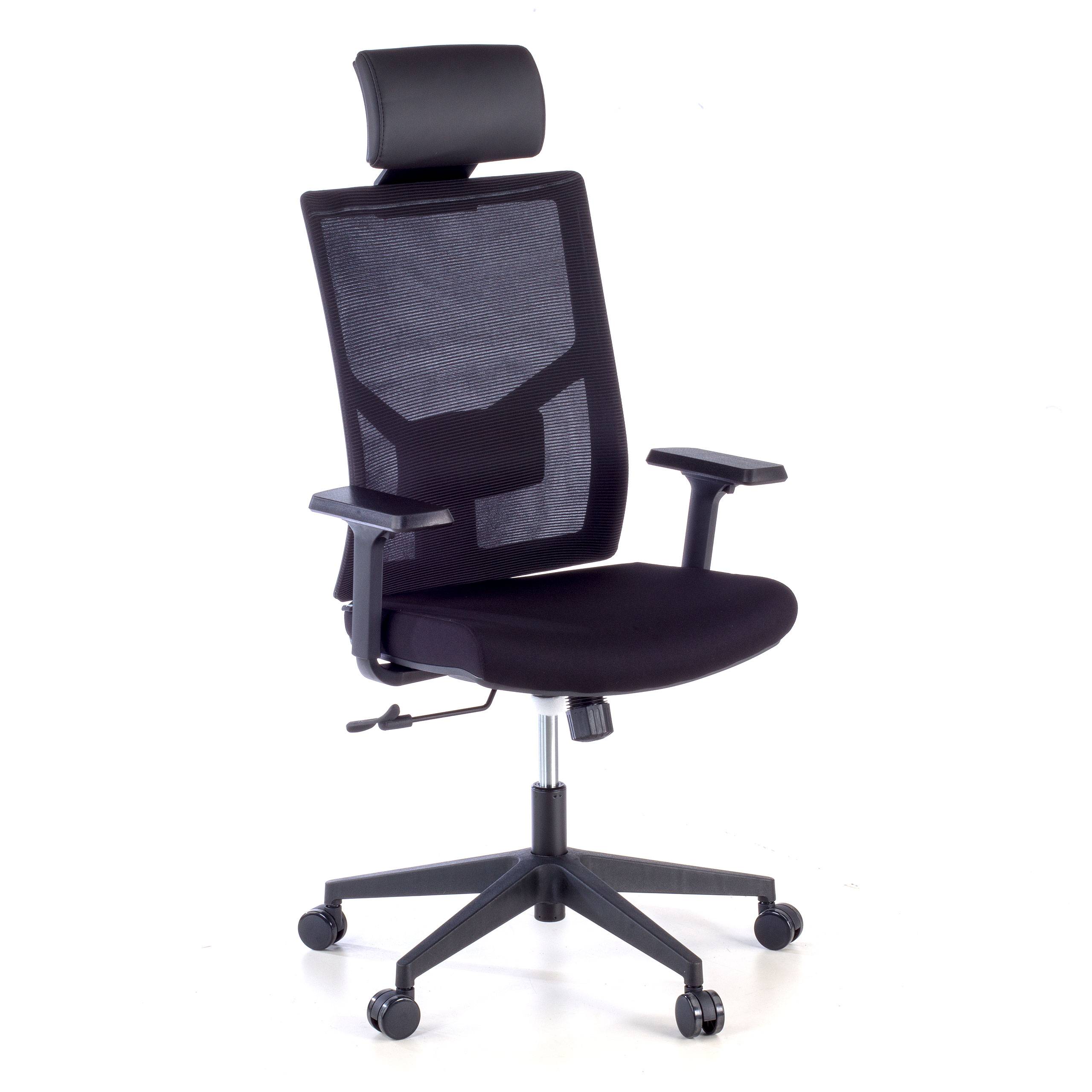 Sedia Ufficio Ergonomica Verdi, braccioli regolabili, con poggiatesta