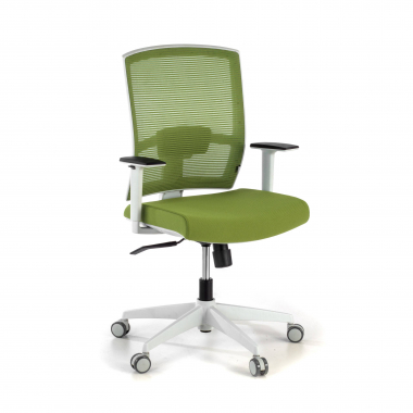 sedia ergonomica bianco verde struttura bianca rete transpirante braccioli regolabili 1d supporto lombare 1