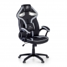Sedia Gaming Warrior supporto lombare, imbottita