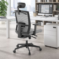 Sedia da ufficio ergonomica Akira con poggiatesta