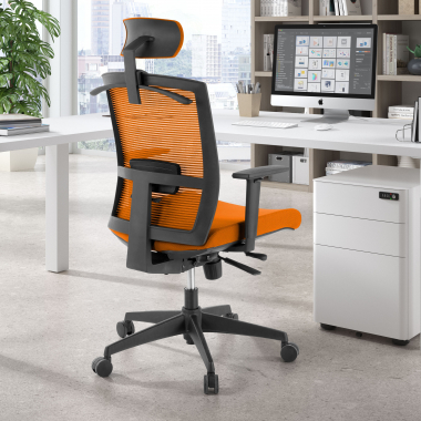 Ergonomica