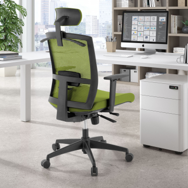 sedia ergonomica verde struttura nera poggiatesta rete transpirante braccioli regolabili 1d supporto lombare poggiatesta 2