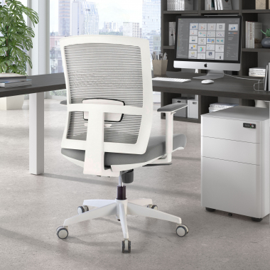 sedia ergonomica bianco grigio struttura bianca rete transpirante braccioli regolabili 1d supporto lombare 2