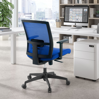 Ergonomica