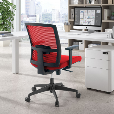 Ergonomica