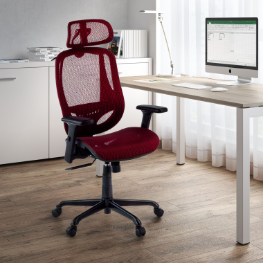 Ergonomica