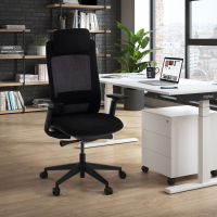 Sedia Ufficio Ergonomica Intouch black, Completamente Regolabile