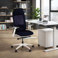 Sedia Ufficio Ergonomica...