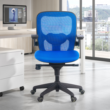 Ergonomica