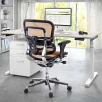 Sedia per ufficio Ergohuman, modello premium, alluminio, rete