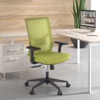 Sedia Ufficio Ergonomica Verdi, braccioli regolabili, supporto lombare,