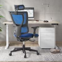 Sedia Ergonomica Energy, modello premium, Tecnologia avanzata