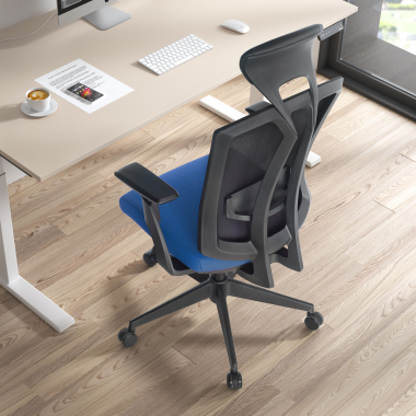 Ergonomica