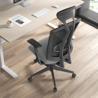 Ergonomica