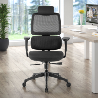 Sedia Ergonomica Bjorg, premium, doppio cuscino lombare