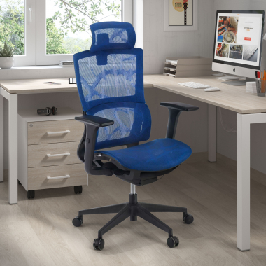 sedia ergonomica blu winter rete transpirante braccioli regolabili 3d doppio supporto lombare poggiatesta 2