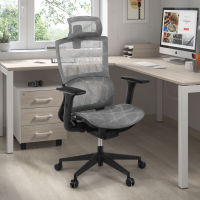 Sedia Ergonomica Winter, Supporto Lombare, Poggiatesta